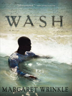cover image of Wash